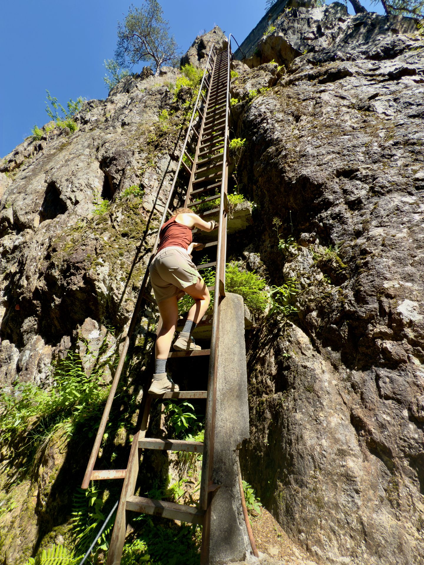 TMB Day 7: You are crazy